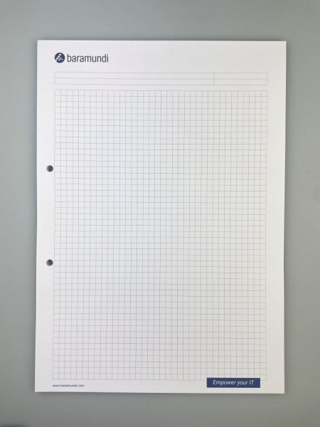 baramundi A4-Block kariert